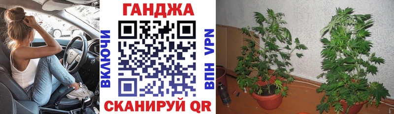 Где купить наркоту Трёхгорный Бошки Шишки  Кокаин  ГАШ  гидра онион  МЕФ  A PVP 