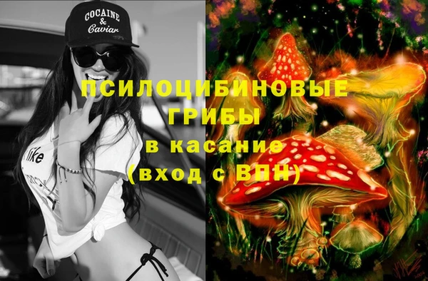 эйфоретик Богородицк