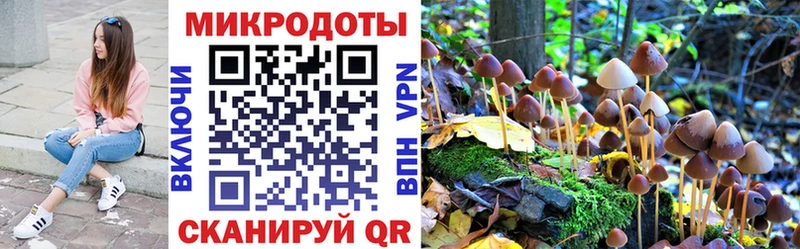 Псилоцибиновые грибы Psilocybe  Трёхгорный 